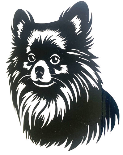 Pomeranian dog vinyl - pomeranian,