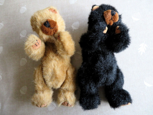 Bears black 1 - bears,, &