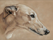 Original Greyhound art print Lurcher Picture To Fit A4 (210 x297mm) Frame 