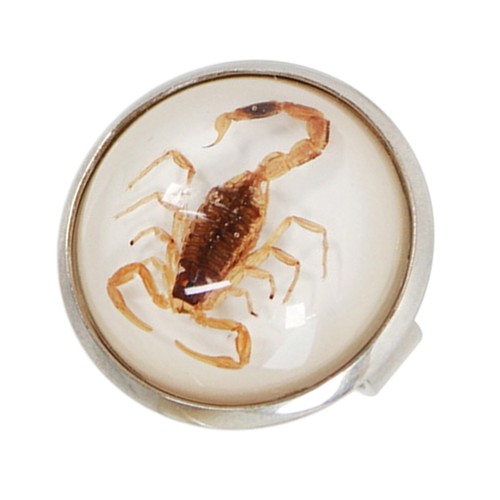 Scorpion rings animal charm - rings,