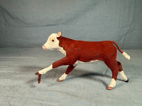 Galloping hereford calf - galloping,