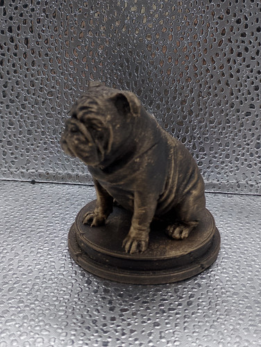 English bulldog dog - bulldog,