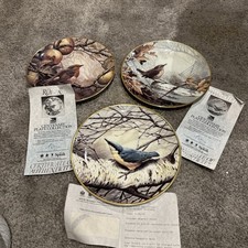 Wedgwood wren, robin,nuthatch