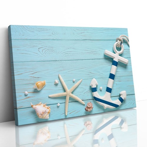 Marine anchor starfish shells - starfish,