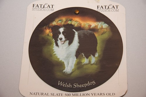 Welsh sheepdog natural slate - welsh,