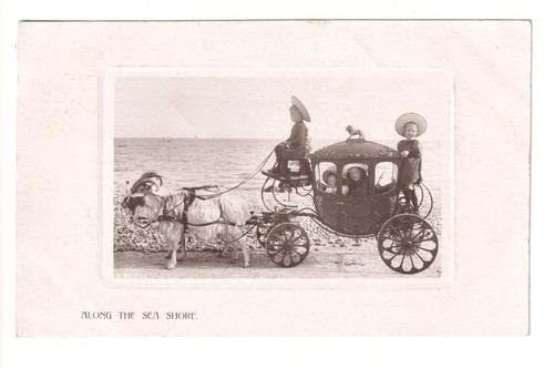 Goat cart and children - ,