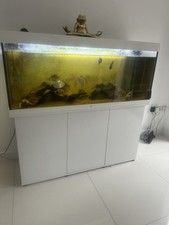 Fish Tank Aquarium Complete