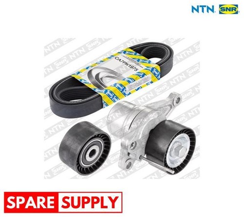 Ribbed belt set for renault - v-ribbed,