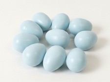 Canary dummy eggs for - x,