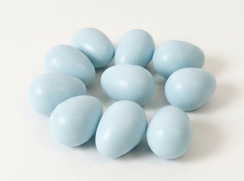 Canary dummy eggs - canary, for