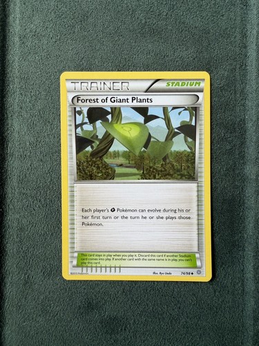 Forest giant plants - plants,