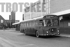 35mm Black and White Negative