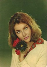 CP - Valérie Lagrange