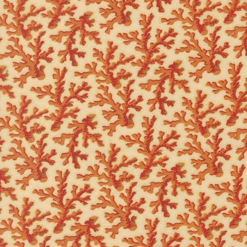 Saltwater coral 39575 by - saltwater,
