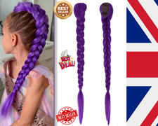 Rumi Hair Long Purple Braid