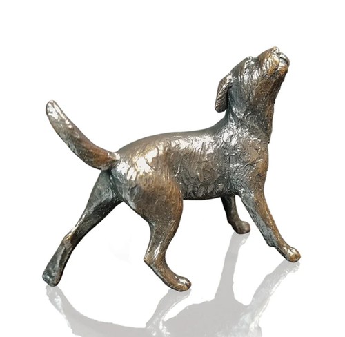 Richard cooper bronze - bronze, border