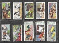 GODFREY PHILLIPS - Home Pets - 1924 - 13/25 - G/VG.