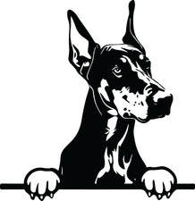 Personalised Laser Engraved