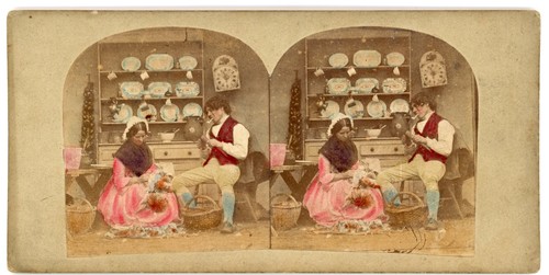 Stereoview stereoscope card - stereoscope,
