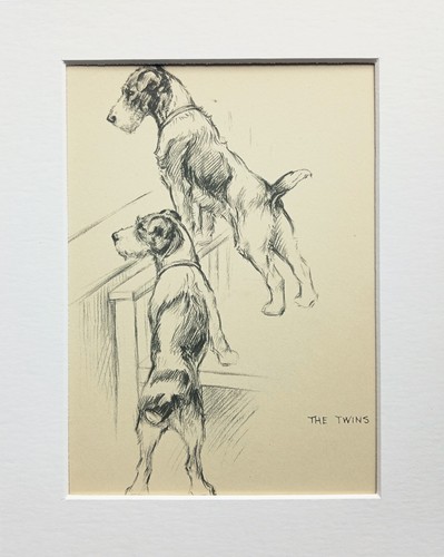 Terrier dogs vintage sketch