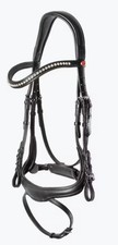Kieffer Amy Bridle