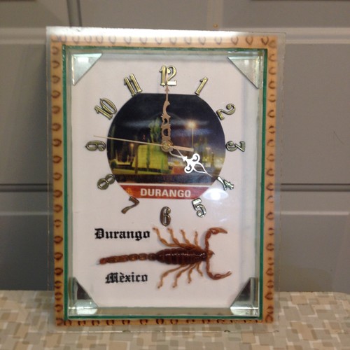 Durango mexico scorpion - mexico,