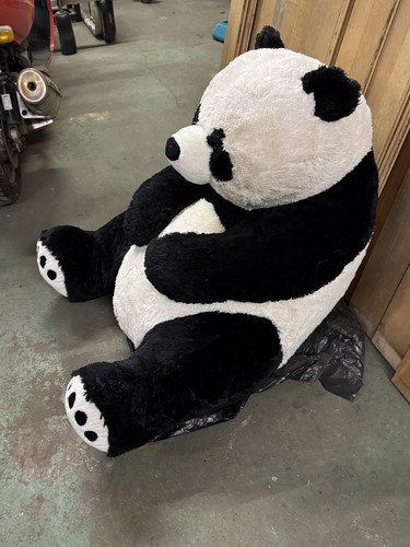Massive jumbo panda - jumbo,