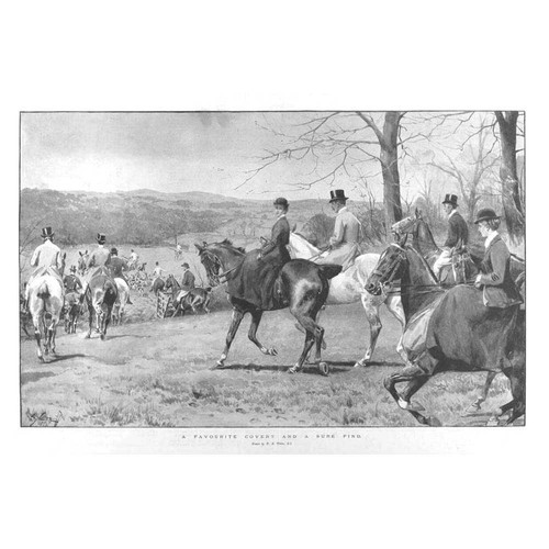 Fox hunting favourite - fox,