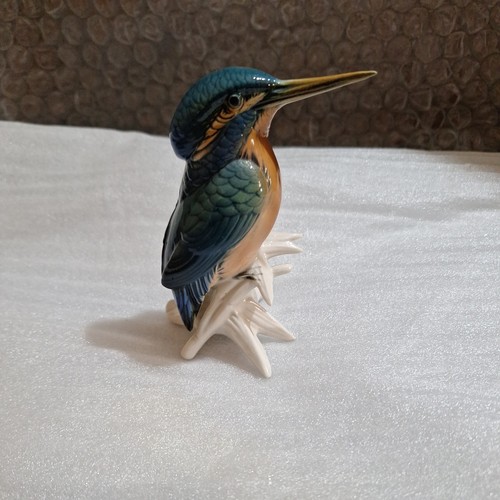 Karl ens kingfisher - karl, ‘kingfisher’