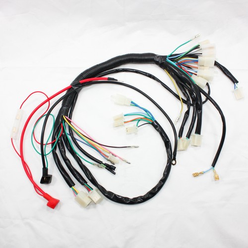 Engine wire wiring harness - wiring,