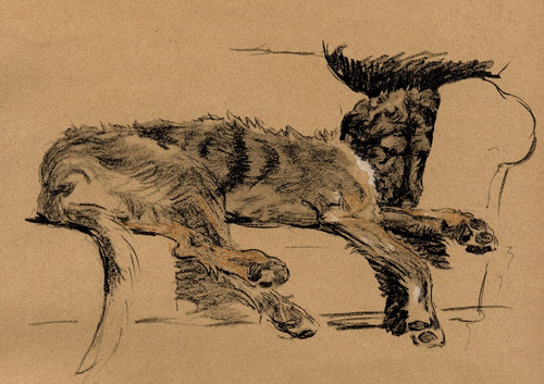 Irish wolfhound dog - irish, greeting