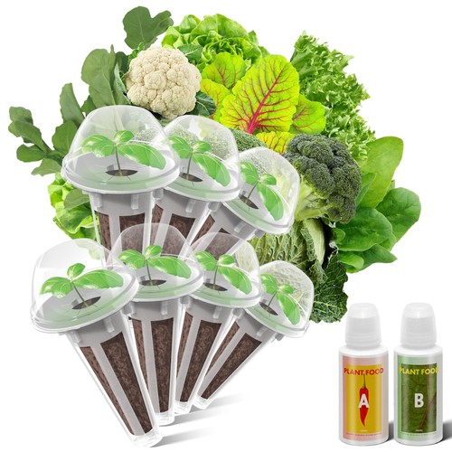 Salad green seed pod - green,