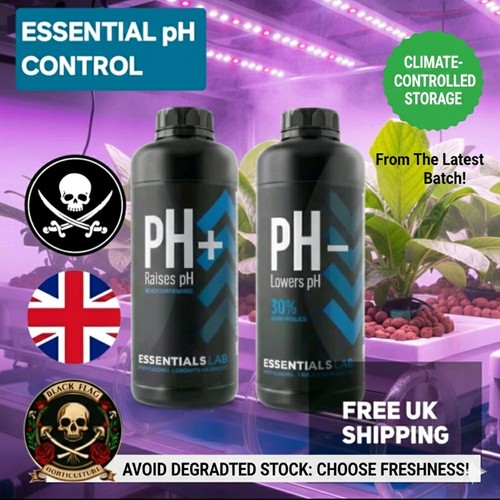 Down essentials lab - ph,