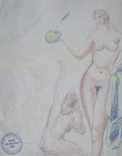 Pino della selva - della,