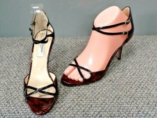Bennett elodie tortoise - 'elodie',