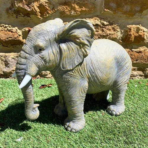 Grey resin african - grey,