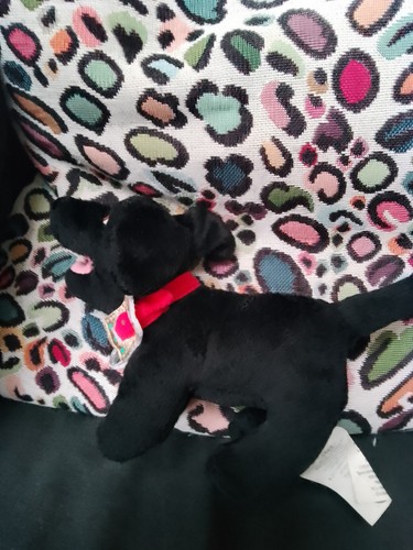 Merlin the magical - the, puppy