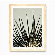 Acropora Echinata Linocut Art