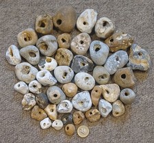 1.5kg 44 Natural Hag stones