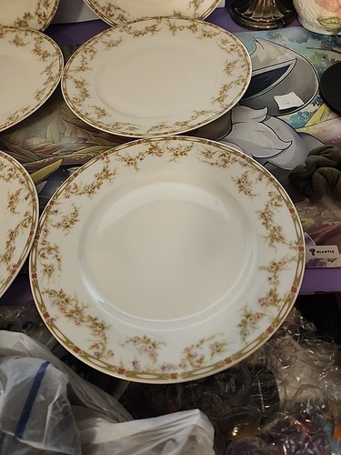 Theodore haviland limoges - theodore,