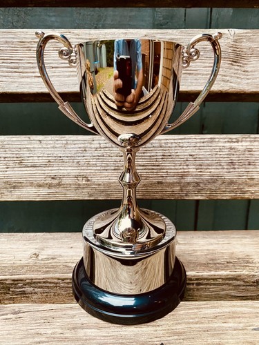 Silver trophy 7 - silver, 7”