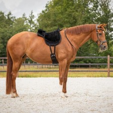 QHP Super soft bareback pad