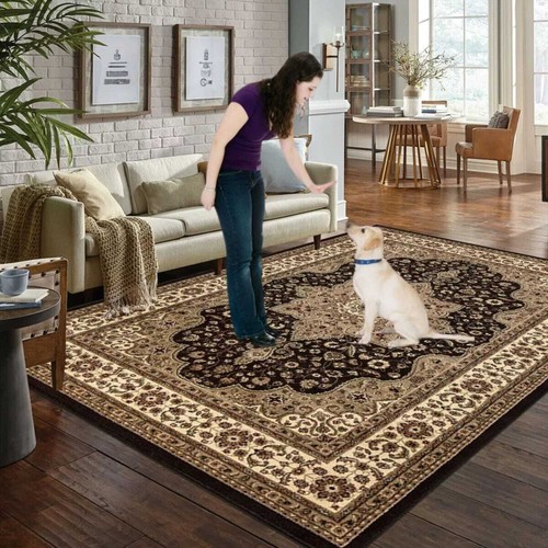 Traditional large rugs living - large,