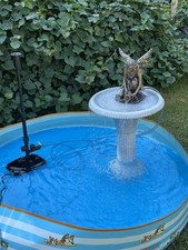 PENNINGTON AquaGarden In Pond