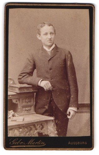 Photograph the martin - photograph, by