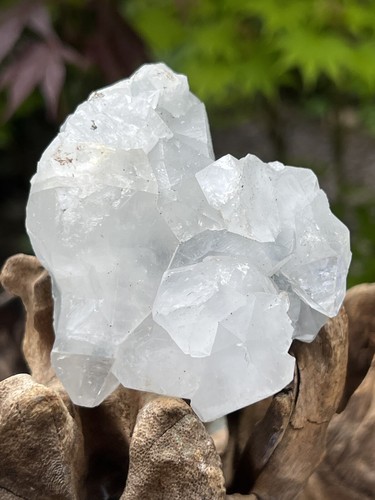 White apophyllite cluster - white,