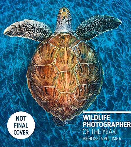 Wildlife photographer the - of,