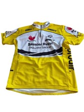 Saunier Duval Prodir Pro