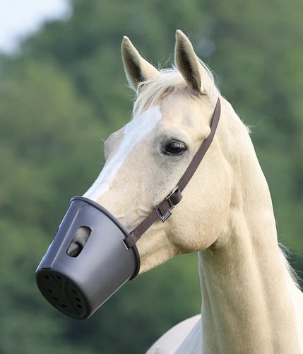 Shires plastic grass muzzle - plastic,