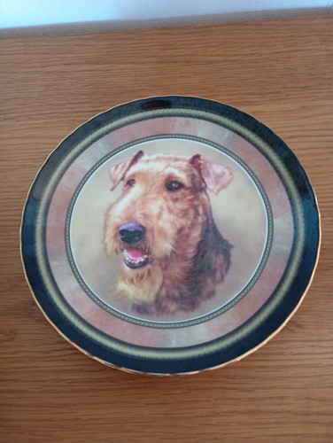 Vintage airedale terrier plate - vintage,